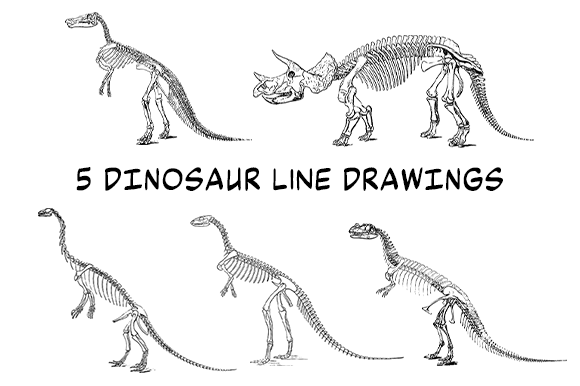 Download 5 Dinosaur Vector Line Drawings - Line drawings Collection